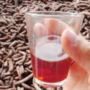 coc-ruou-chuoi-hot-2