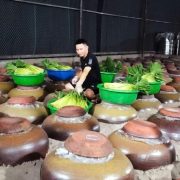 ngam-ruou-dong-dong-12-768×538