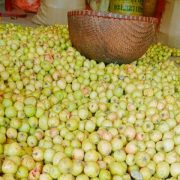 táo-mèo-tươi-ngâm-rượu-600×420